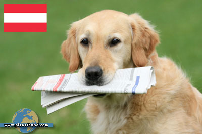 Planet Hund News Österreich