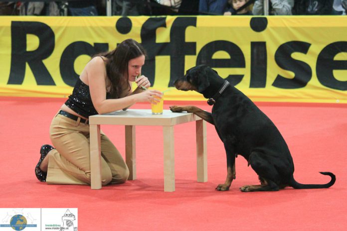 Šimona Drábková & Frederica