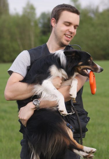 Border Collie wird getragen