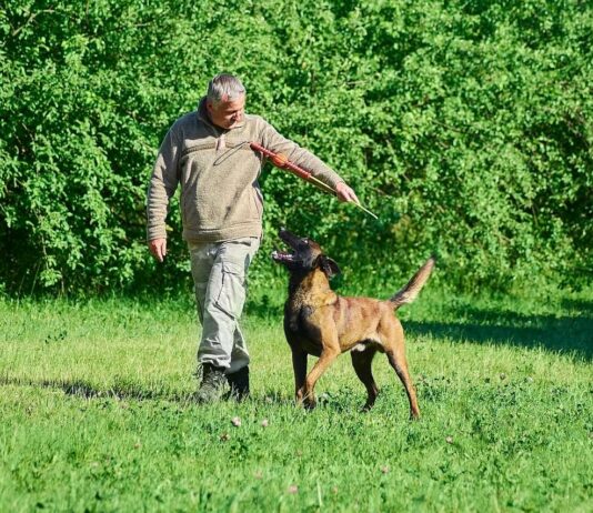 Hundehalter unterwegs mit Hund