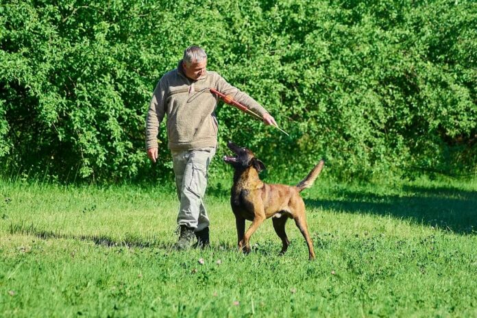 Hundehalter unterwegs mit Hund