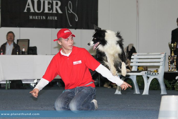 Lukas & Falco: Hundeausstellung Graz 2013 - Sonntag