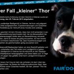 thor fair dog