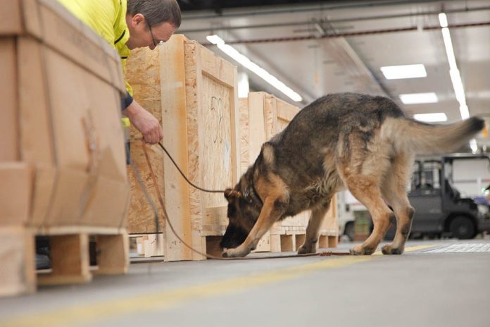 fraport_hundestaffel_fracht