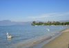 hundestrand-gardasee