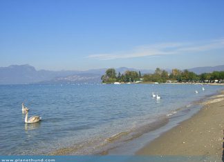 hundestrand-gardasee