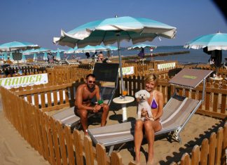 hundestrand-italien-doggy-beach-04