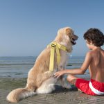 hundestrand-italien-lido-di-fido-03