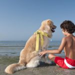 hundestrand-italien-lido-di-fido-03