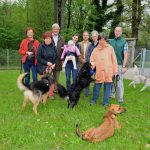 hundewiese-hellbrunn-salzburg