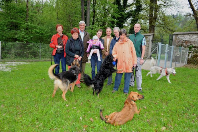 hundewiese-hellbrunn-salzburg