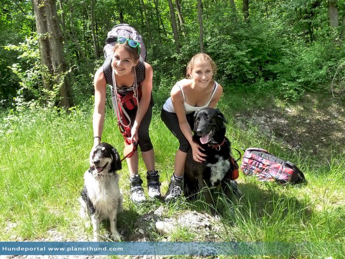 Zwei Frauen Hunde Inline Skates