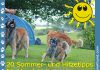 Hund bei Hitze: 20 Tipps für heiße Sommertage Hund Hitze Sommer Hundehalter