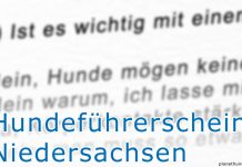 Hundeführerschein Niedersachsen Testfragen Sachkundenachweis