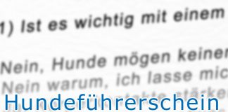 Hundeführerschein Niedersachsen Testfragen Sachkundenachweis