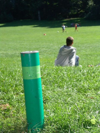 Grüner Poller - Hunde nicht erlaubt