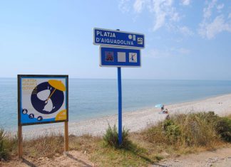 hundestrand vinaros valencia spanien