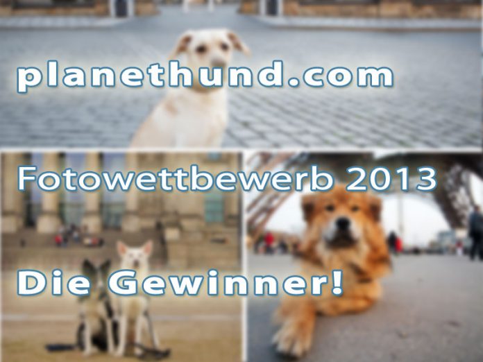 Gewinner Fotowettbewerb