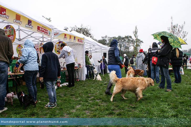 Grazer Hundefest 2017