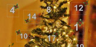 Adventskalender Hunde