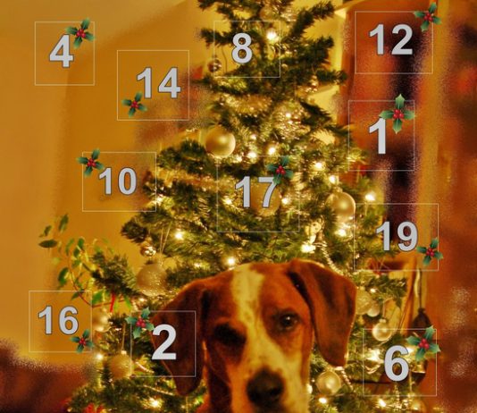 Adventskalender Hunde