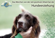 Hundeerziehung Positive Arbeit