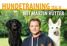 martin ruetter hundetraining teil 2