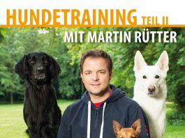martin ruetter hundetraining teil 2
