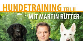 martin ruetter hundetraining teil 2