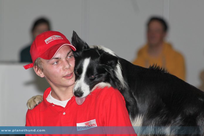 Lukas & Falco: Hundeausstellung Graz 2013 - Sonntag