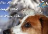 Tierischer Silvesterspruch Silvesterspruch