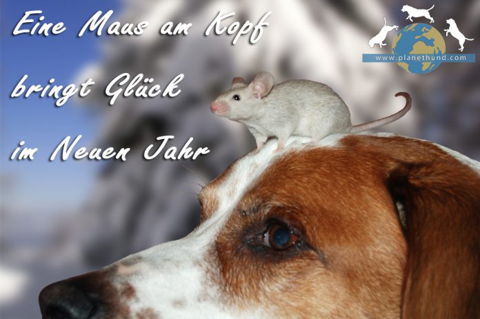 Silvesterspruch