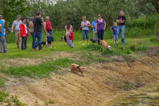 hundeauslaufzone-ganslsee-03