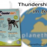 Thundershirt Hunde Test