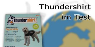 Thundershirt Hunde Test