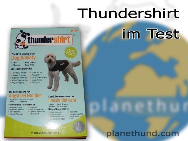 Thundershirt Hunde Test