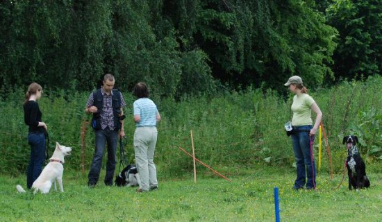 Trainer Teilnahmer Hundeplatz