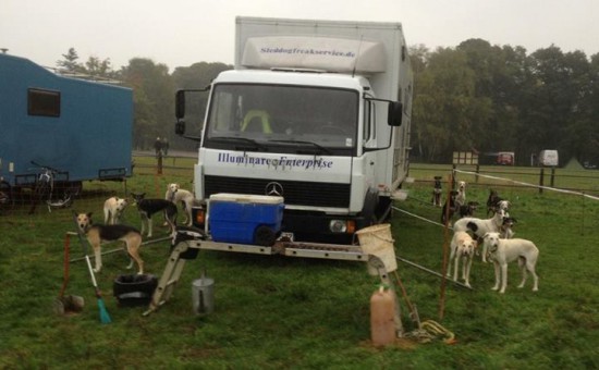 German Trailhound vor dem Einsatz