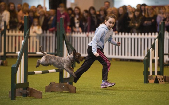Crufts Jugend Agility