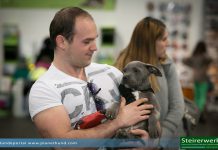 Internationale Hundeausstellung 2014 in Graz