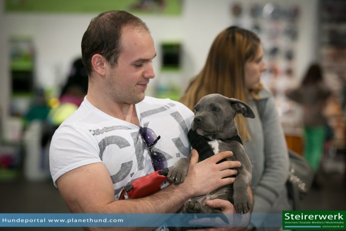 Internationale Hundeausstellung 2014 in Graz