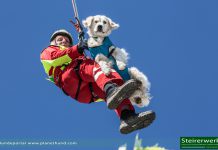 ÖHU Suchhundestaffel