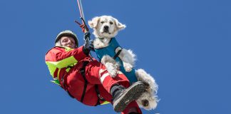 ÖHU Suchhundestaffel