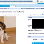 Welpenhandel Online Inserate