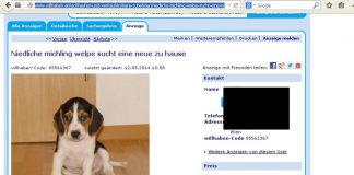 Welpenhandel Online Inserate