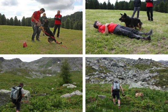 Bergrettung Steiermark Suchhundelehrgang