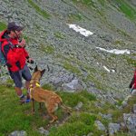 Fotos von Übungen und Einsätzen der Steirischen Lawinenhundestaffel
