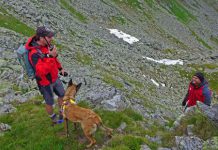 Fotos von Übungen und Einsätzen der Steirischen Lawinenhundestaffel