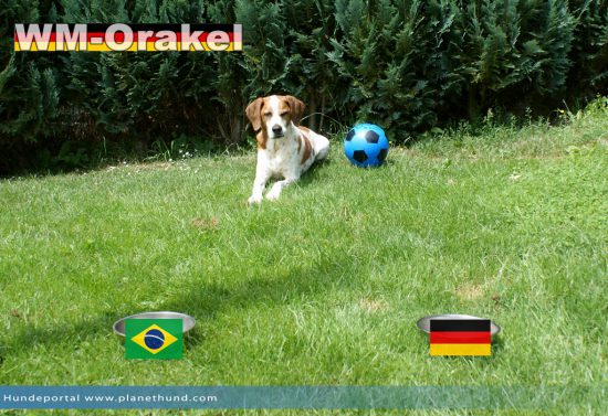 Halbfinale der WM2014: Brasilien vs Deutschland