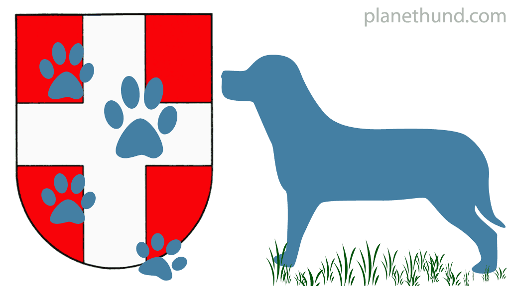 Hunde Wien Symbolbild